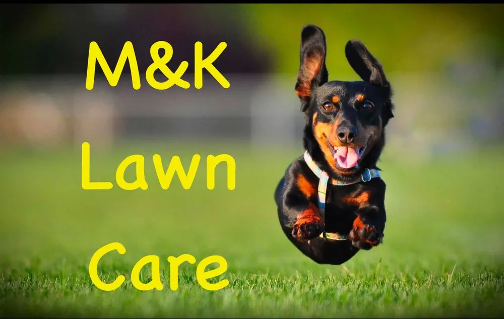 Top-rated lawn care service in Wesley Chapel, FL by M&K Lawn Care Services LLC