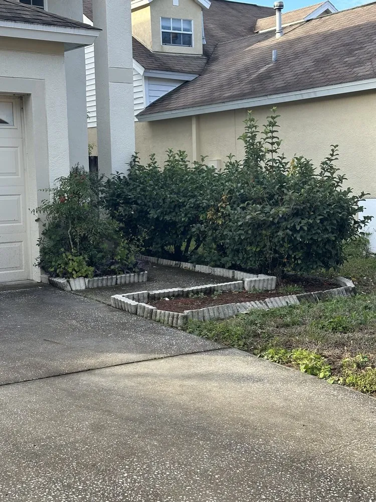 Professional lawn care service in Wesley Chapel, FL by M&K Lawn Care Services LLC