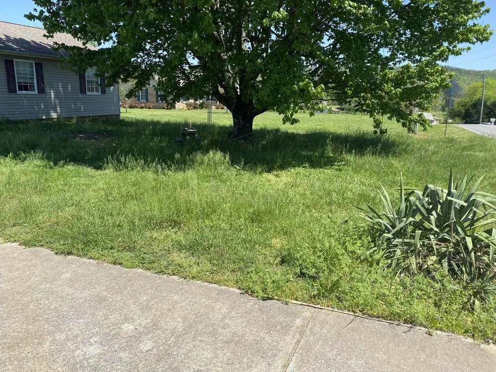 Professional landscape design in Ringgold, GA by MK Lawn Service