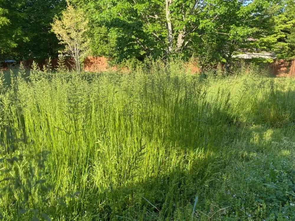 Expert garden landscaping experts serving Ringgold, GA - MK Lawn Service