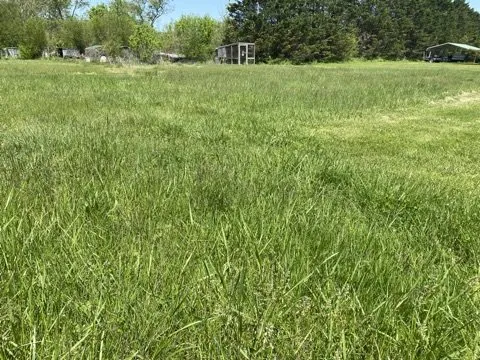 Affordable landscaping services experts serving Ringgold, GA - MK Lawn Service