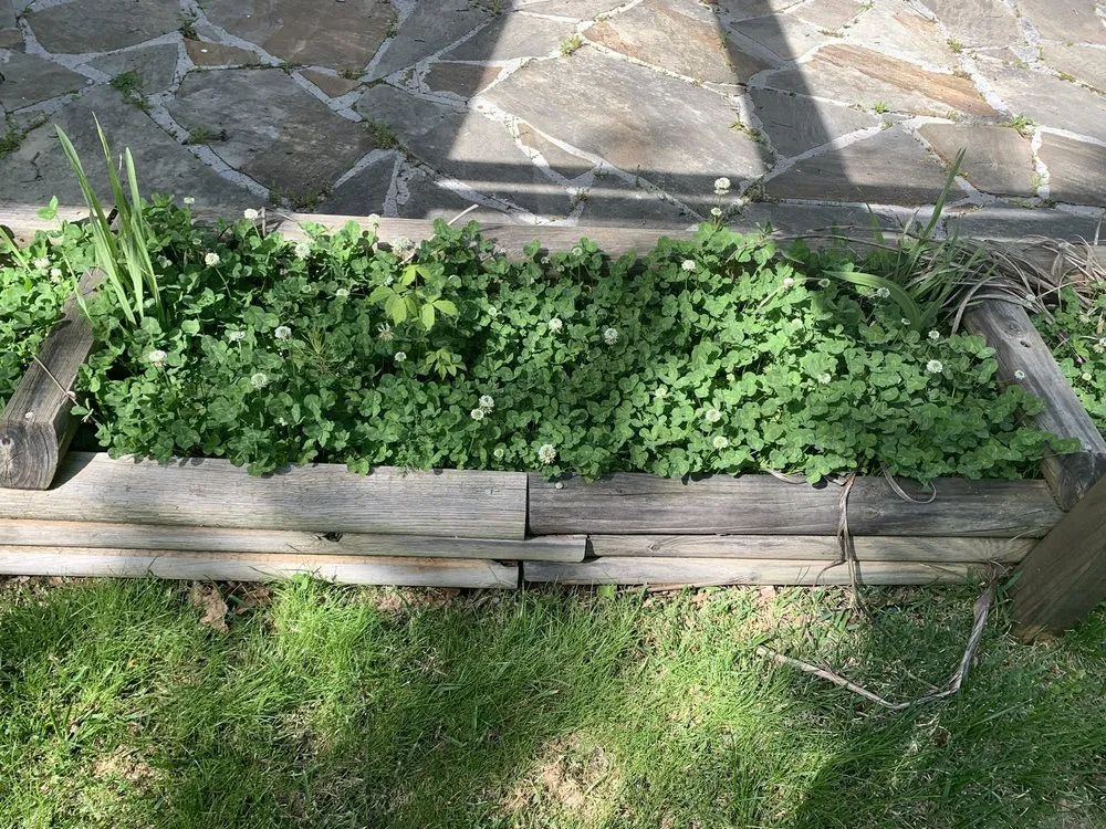 Trusted landscape installation experts serving Ringgold, GA - MK Lawn Service