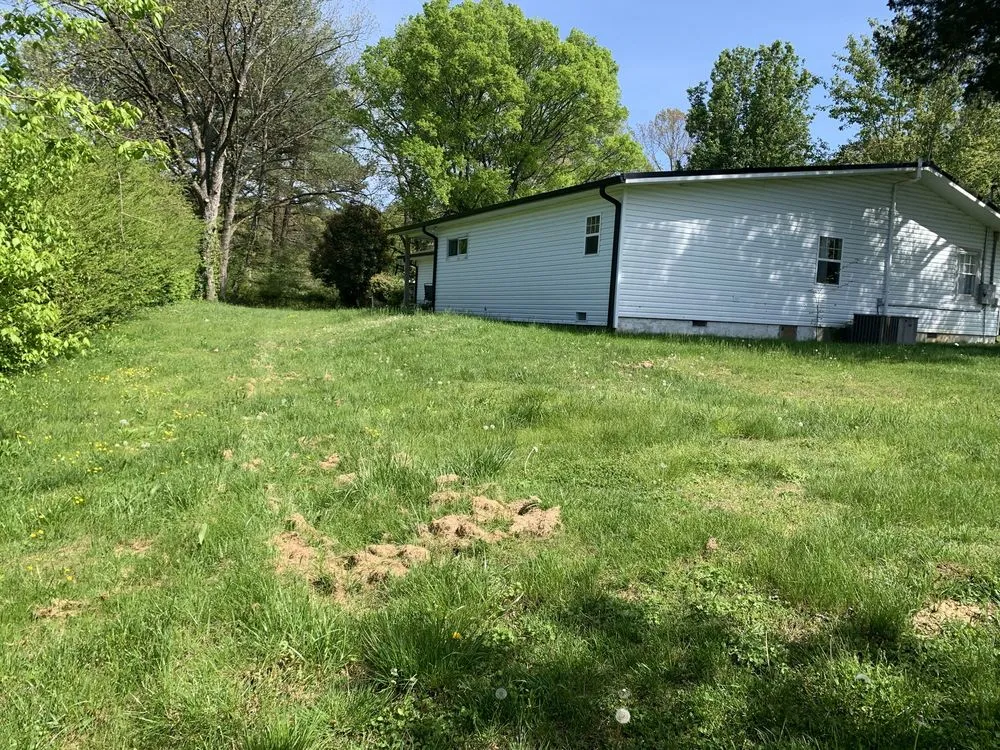 Reliable landscape design in Ringgold, GA by MK Lawn Service