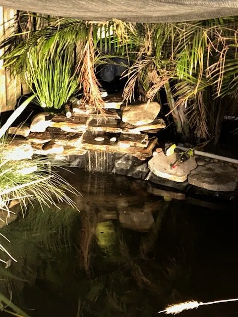 Expert lawn care service for residential properties in West Palm Beach, FL by MK Ponds