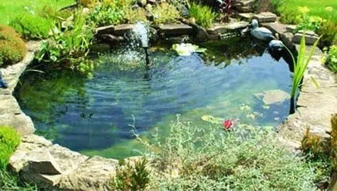 Expert residential landscaping experts serving West Palm Beach, FL - MK Ponds