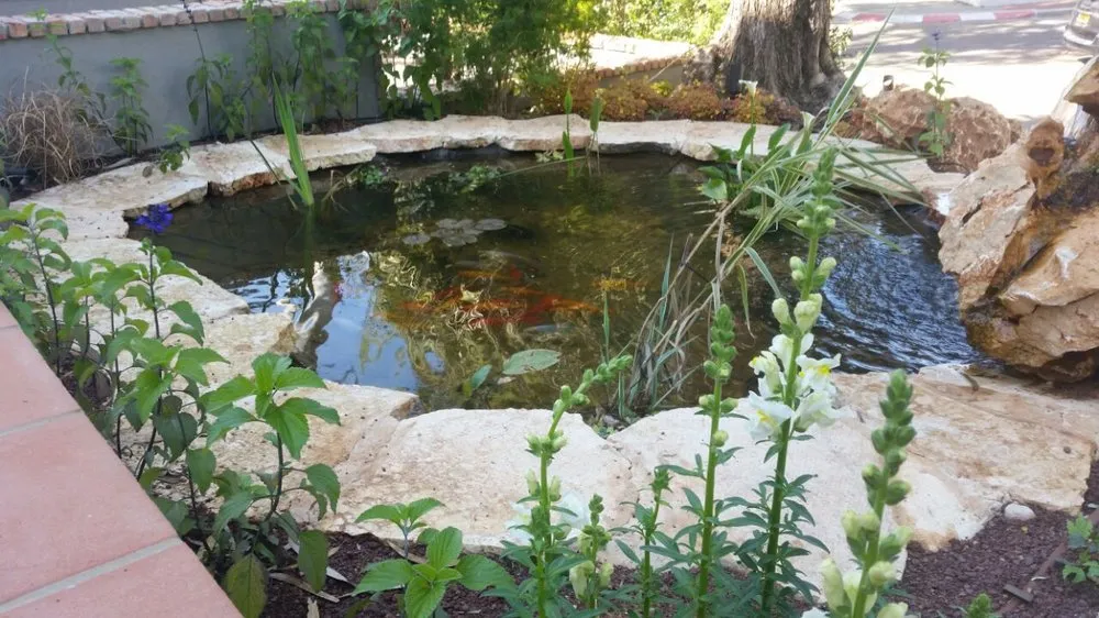 Trusted landscaping services experts serving West Palm Beach, FL - MK Ponds