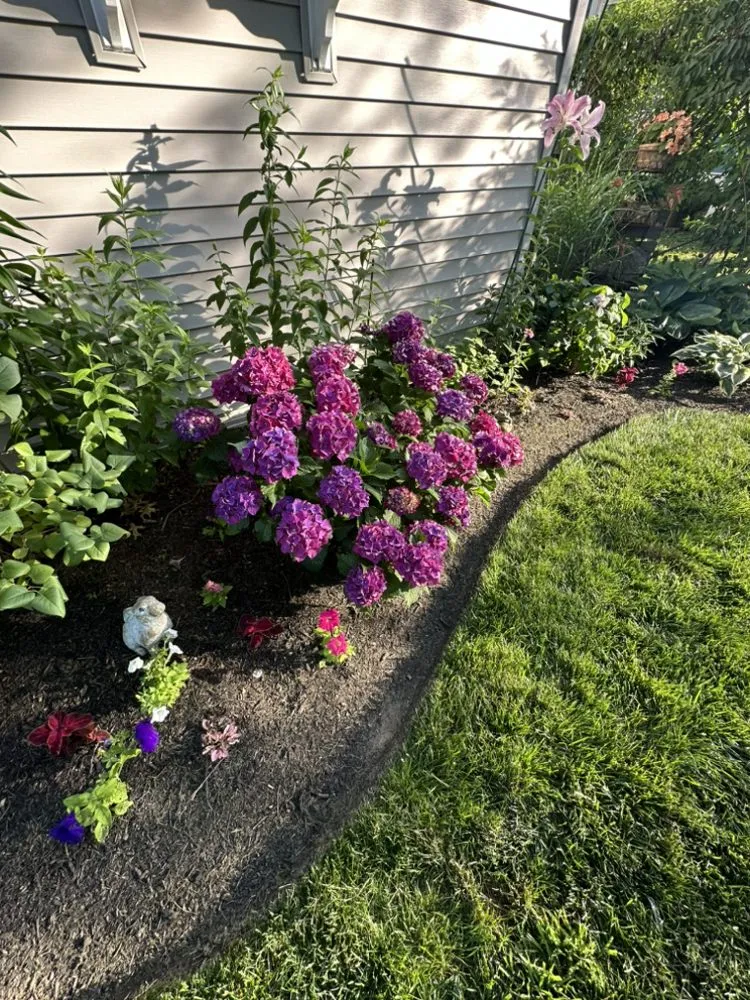 Reliable residential landscaping for outdoor upgrades in Stratford, CT by M&K property management