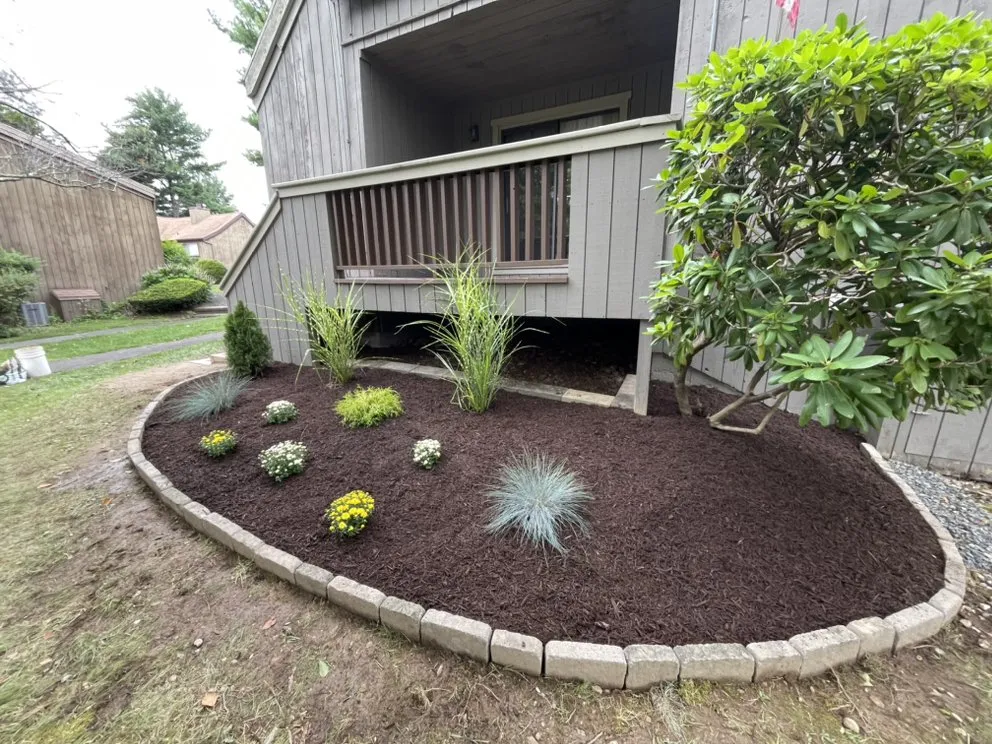 Expert yard cleanup service in Stratford, CT - M&K property management