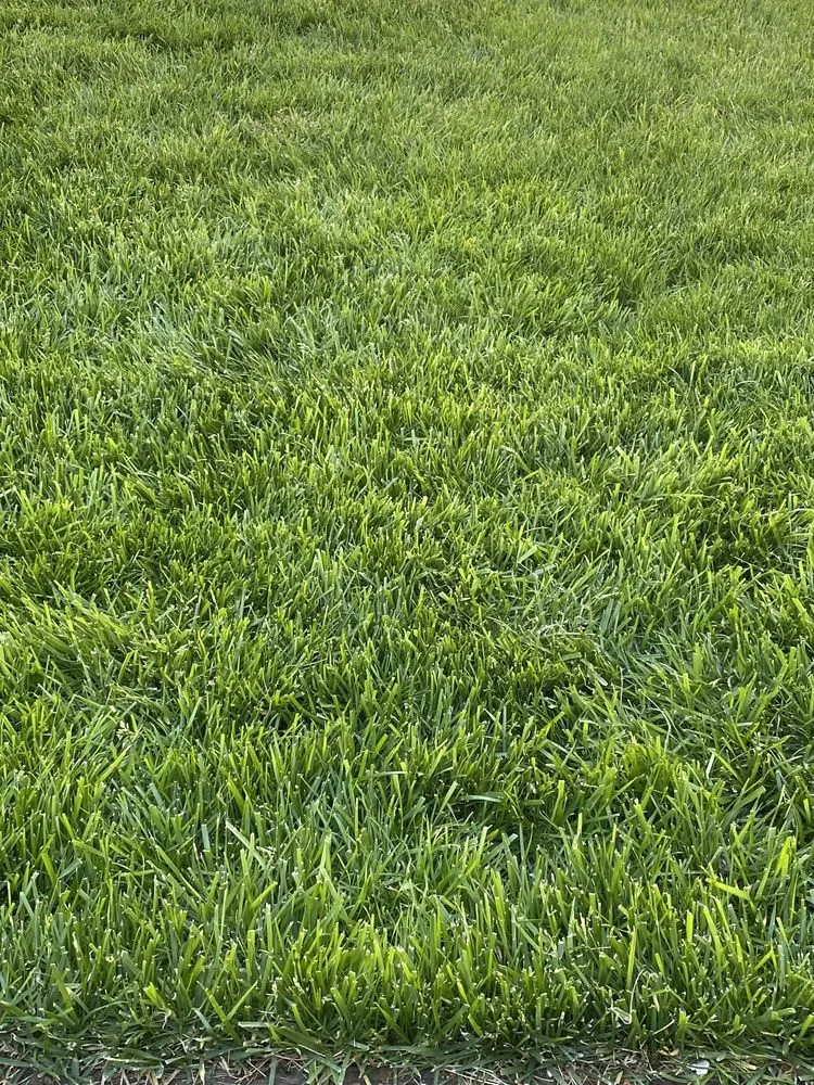 Affordable lawn mowing service for homes in Stratford, CT by M&K property management