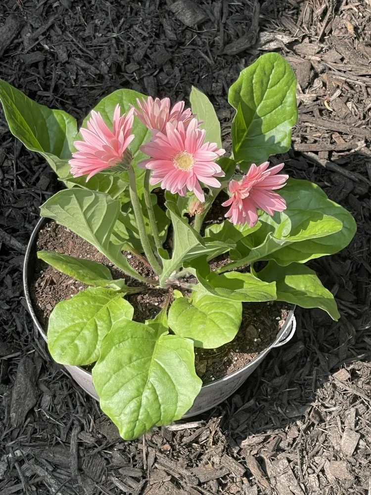 Affordable landscape design experts serving Stratford, CT - M&K property management