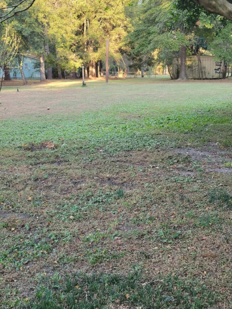 Local landscape installation in Canyon lake, TX - M&K Services