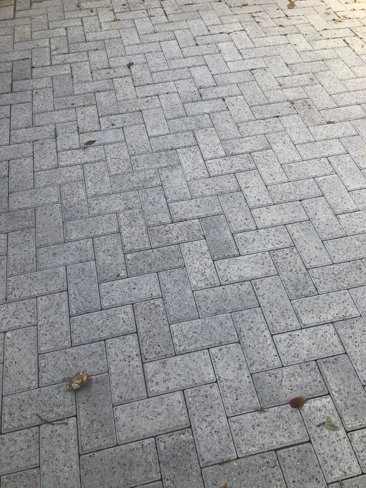 Trusted lawn care service in Austin, TX by MK Stone and Landscaping