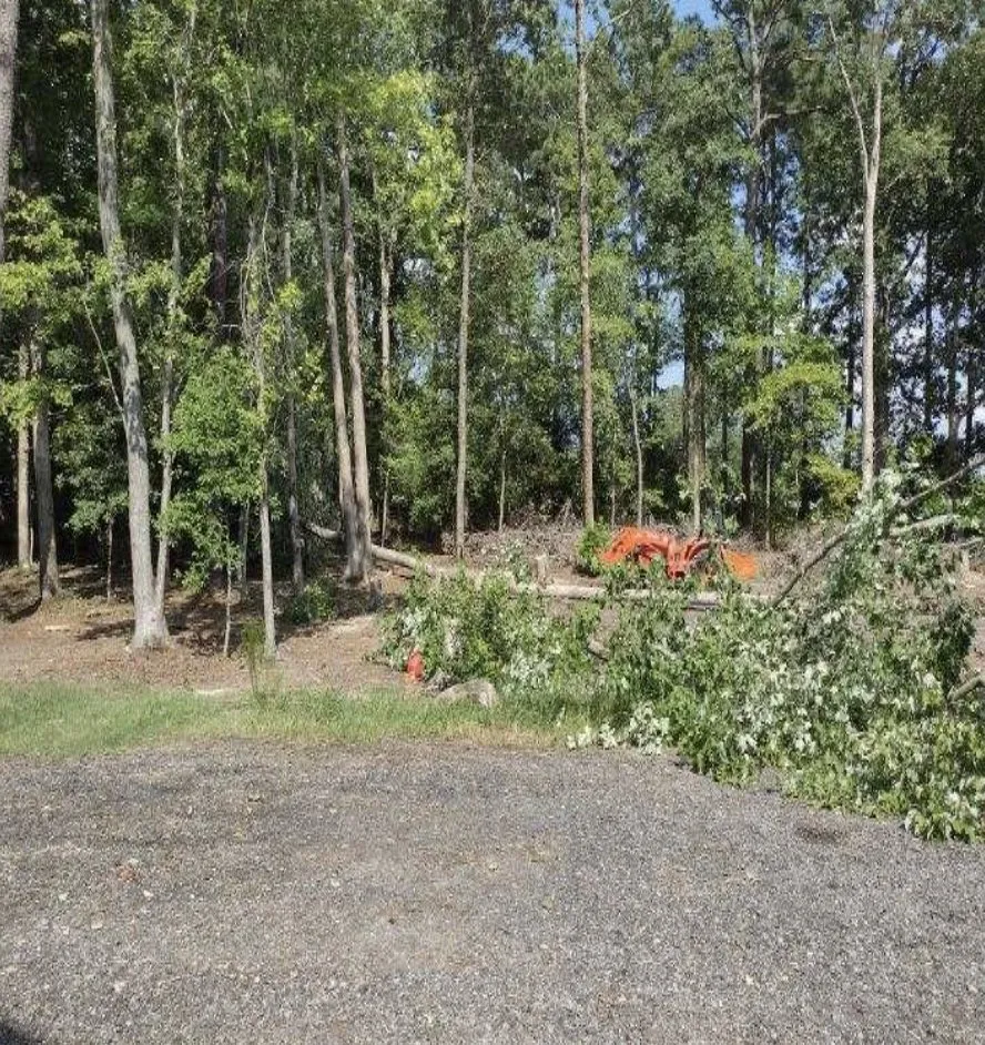 Custom lawn care service for beautiful yards across Suffolk, VA - MK Tractor Services