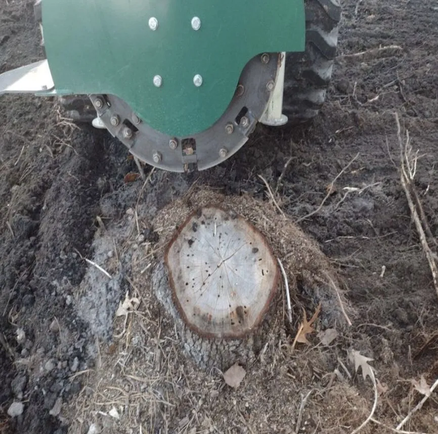 Professional yard maintenance experts serving Suffolk, VA - MK Tractor Services