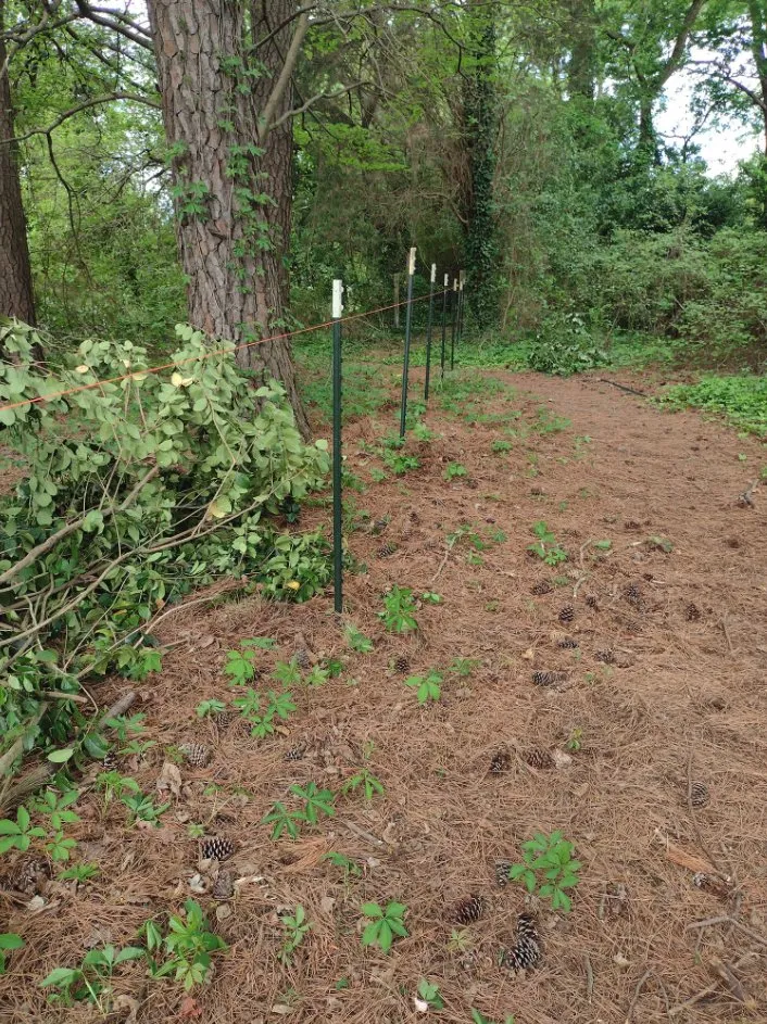 Trusted garden landscaping in Suffolk, VA - MK Tractor Services