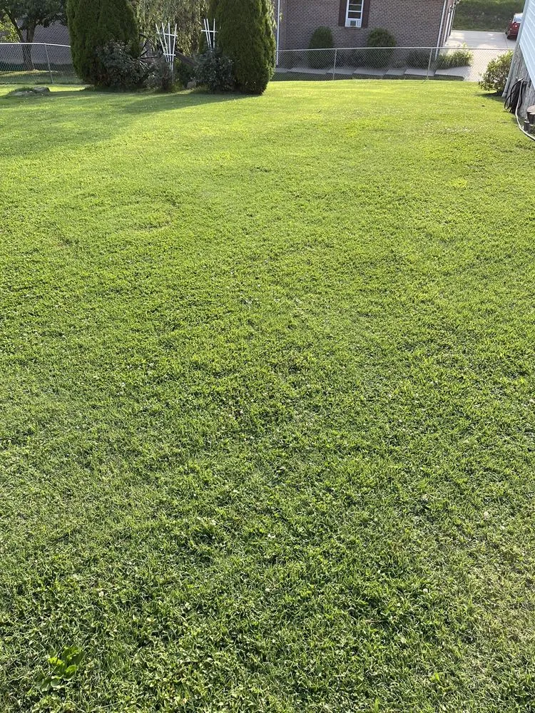 Professional landscape design in Big Chimney, WV - MKA Service Company