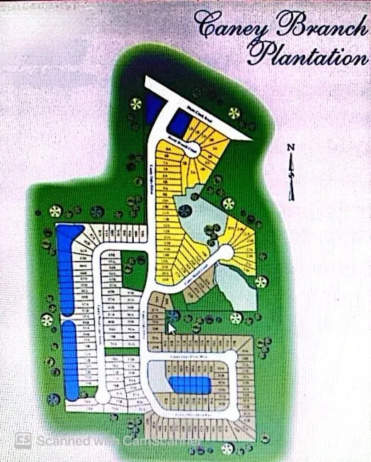 Custom lawn care service experts serving Jacksonville, FL - Mkaiser Enterprises