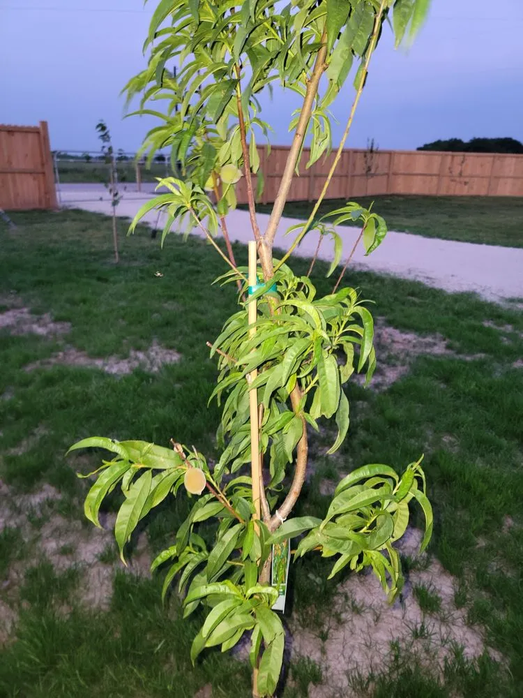 Custom lawn mowing service experts serving Hearne, TX - MKC Irrigation & Contracting