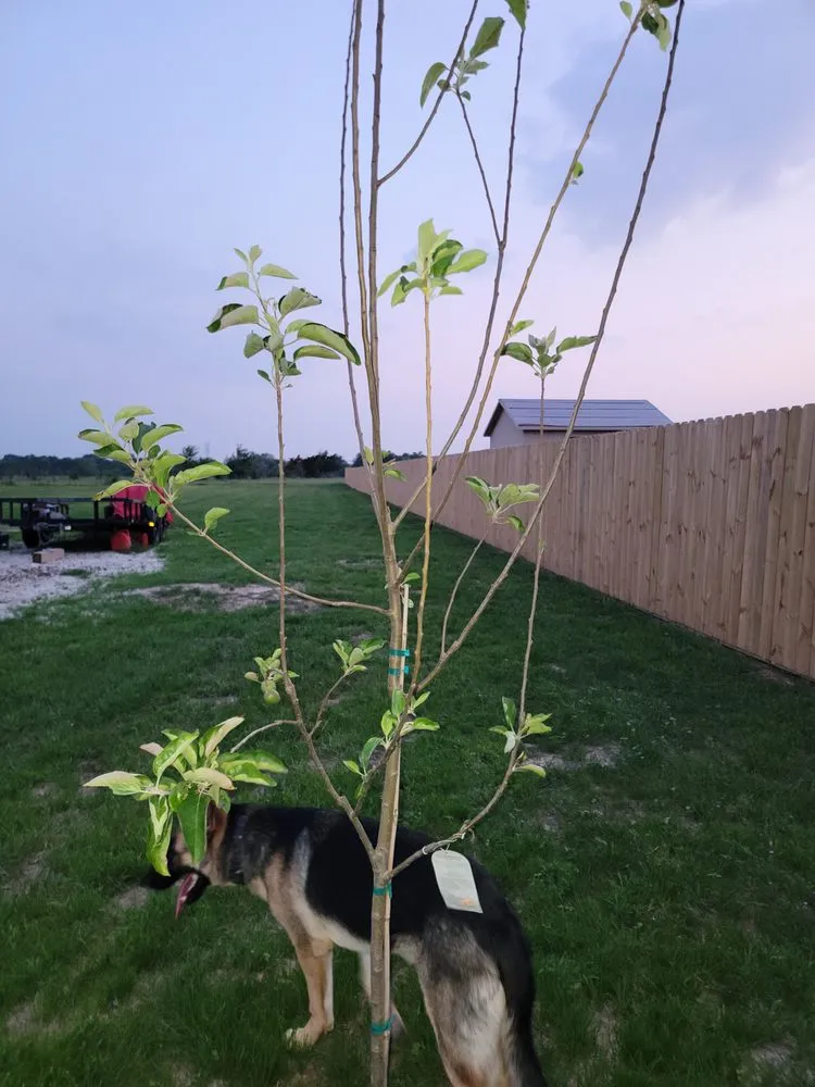 Trusted yard cleanup service for beautiful yards across Hearne, TX - MKC Irrigation & Contracting