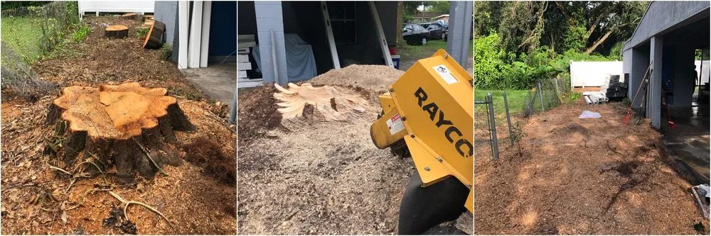 Affordable lawn care service with custom design in Tampa Palms, FL by MKC Tree Services