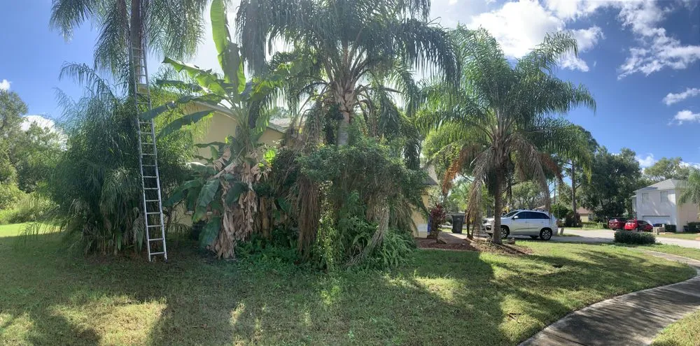 Trusted landscape design in Tampa Palms, FL - MKC Tree Services