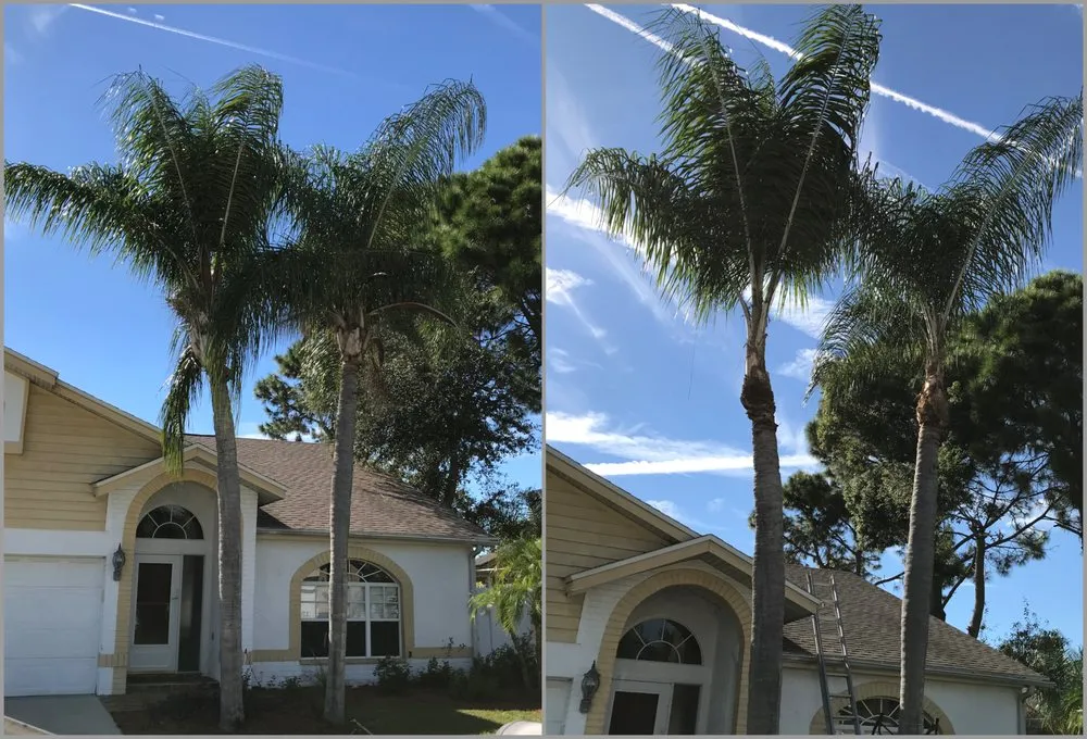 Local garden landscaping in Tampa Palms, FL - MKC Tree Services