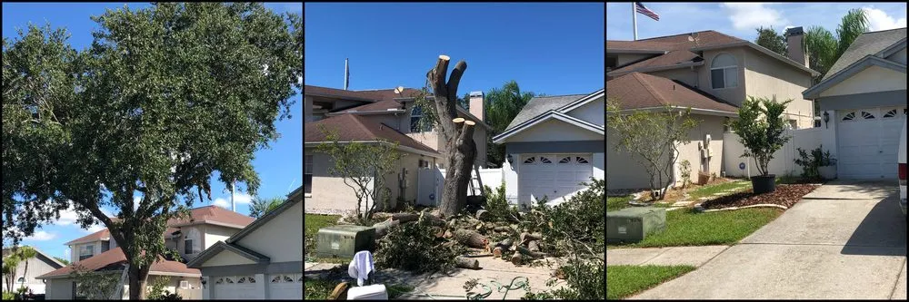 Professional residential landscaping for homes across Tampa Palms, FL - MKC Tree Services