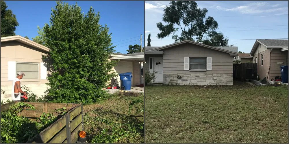 Reliable lawn care service experts serving Tampa Palms, FL - MKC Tree Services