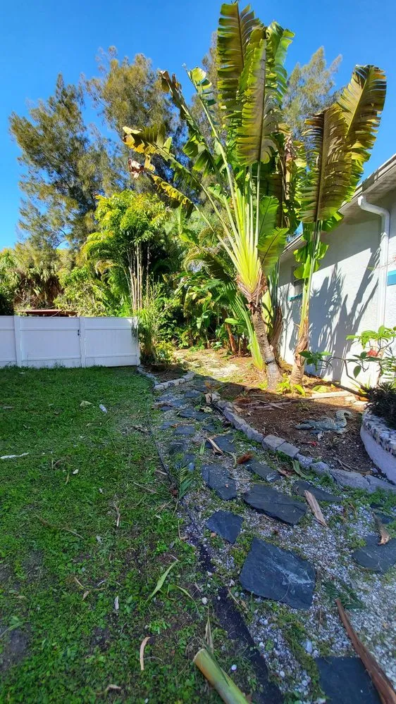 Custom landscape installation with custom design across Tampa Palms, FL - MKC Tree Services