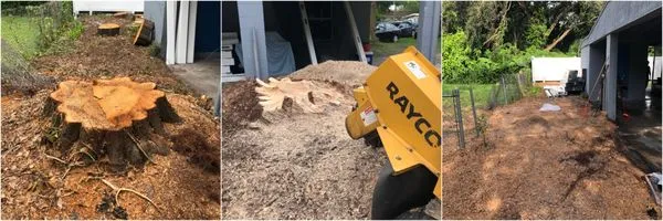 MKC Tree Services Logo