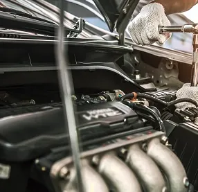 Top-rated yard cleanup service experts serving Tacoma, WA - MKG Auto & Lawn Services