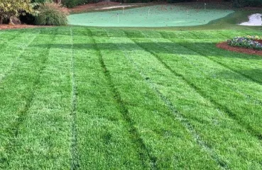 Top-rated landscaping services with custom design across Tacoma, WA - MKG Auto & Lawn Services