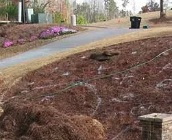 Trusted yard maintenance for beautiful yards in Tacoma, WA by MKG Auto & Lawn Services