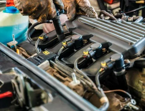 Custom landscaping services in Tacoma, WA - MKG Auto & Lawn Services