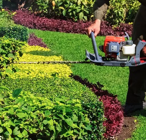 Custom yard maintenance in Tacoma, WA - MKG Auto & Lawn Services