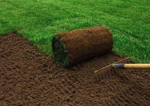 Local lawn mowing service for beautiful yards in Tacoma, WA by MKG Auto & Lawn Services