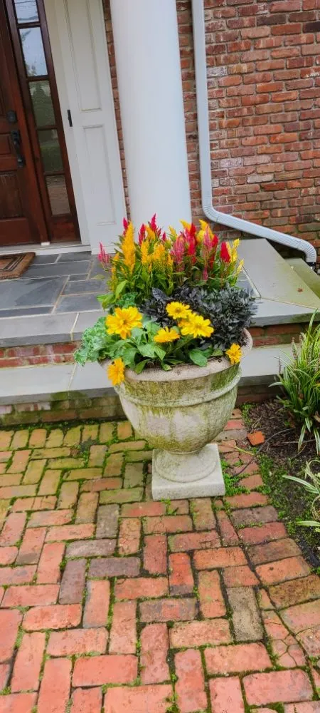 Top-rated lawn mowing service experts serving Spring Valley, NY - MKG Landscaping