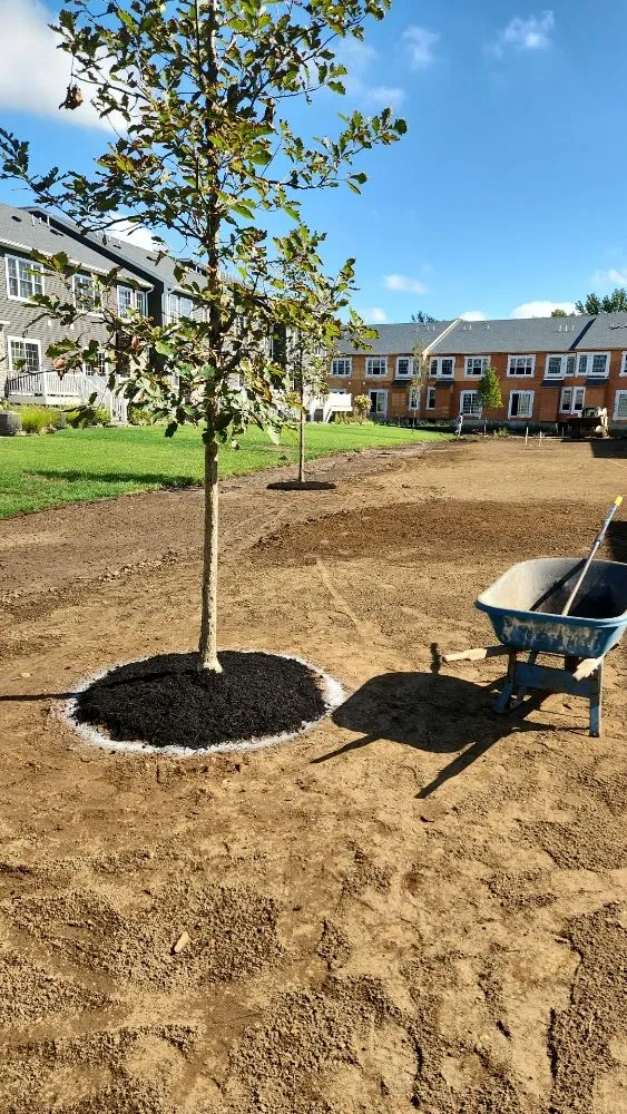 Affordable landscape installation for beautiful yards in Spring Valley, NY by MKG Landscaping