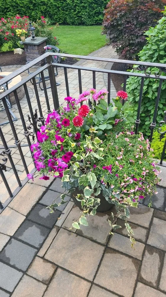 Local landscape installation in Spring Valley, NY by MKG Landscaping