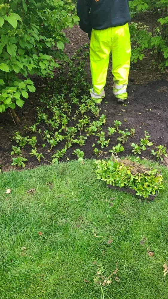 Reliable residential landscaping for beautiful yards across Spring Valley, NY - MKG Landscaping