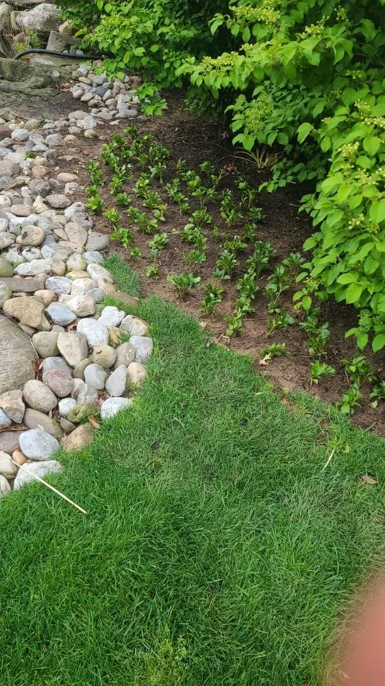 Custom garden landscaping for outdoor upgrades across Spring Valley, NY - MKG Landscaping