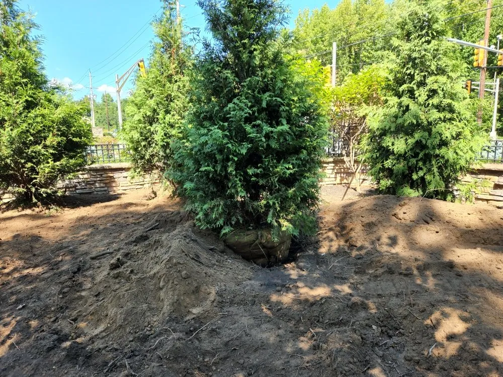 Trusted lawn care service for homes in Spring Valley, NY by MKG Landscaping