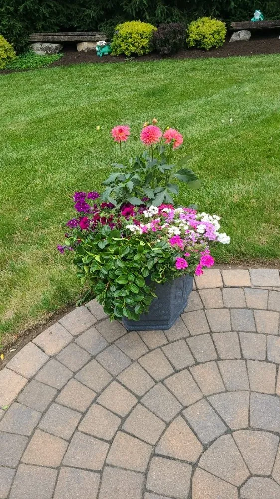 Affordable outdoor landscaping in Spring Valley, NY by MKG Landscaping