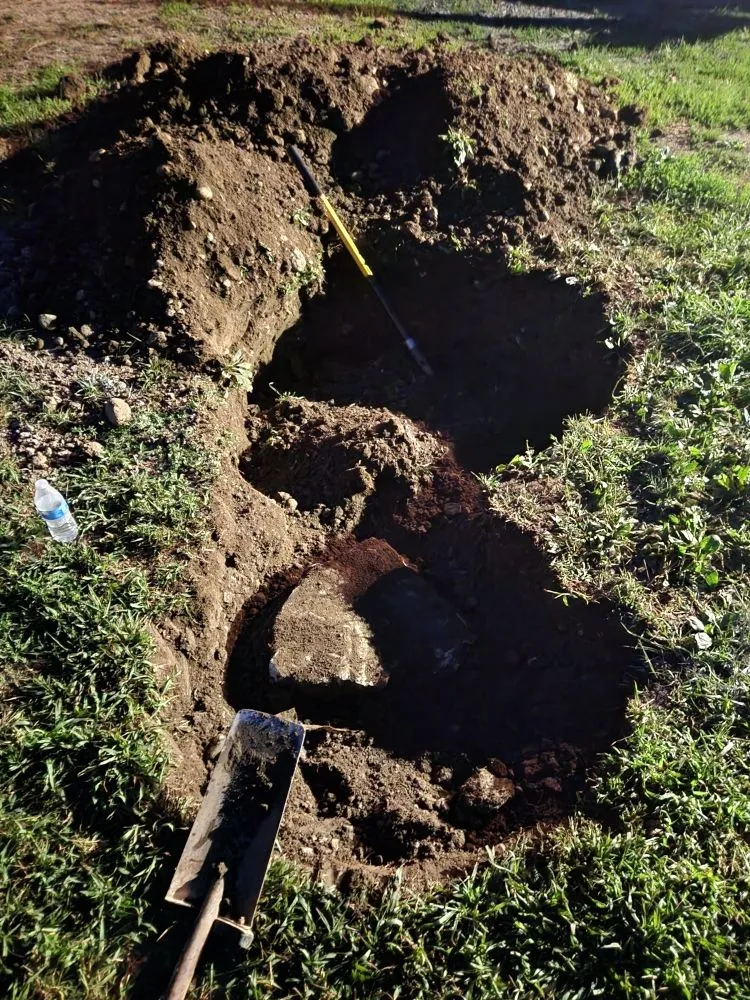 Top-rated yard maintenance near you in Spring Valley, NY by MKG Landscaping