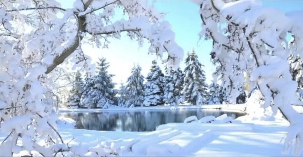 Top-rated residential landscaping near you in Muskegon, MI by MKM Property Care & Snow Removal 4 You