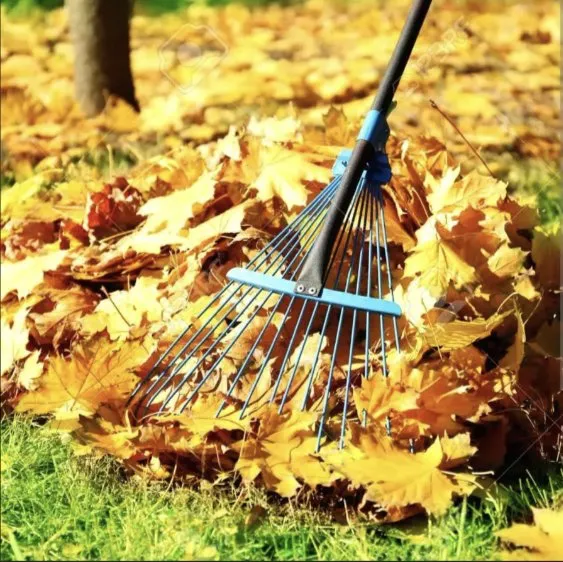 Affordable yard cleanup service in Muskegon, MI - MKM Property Care & Snow Removal 4 You