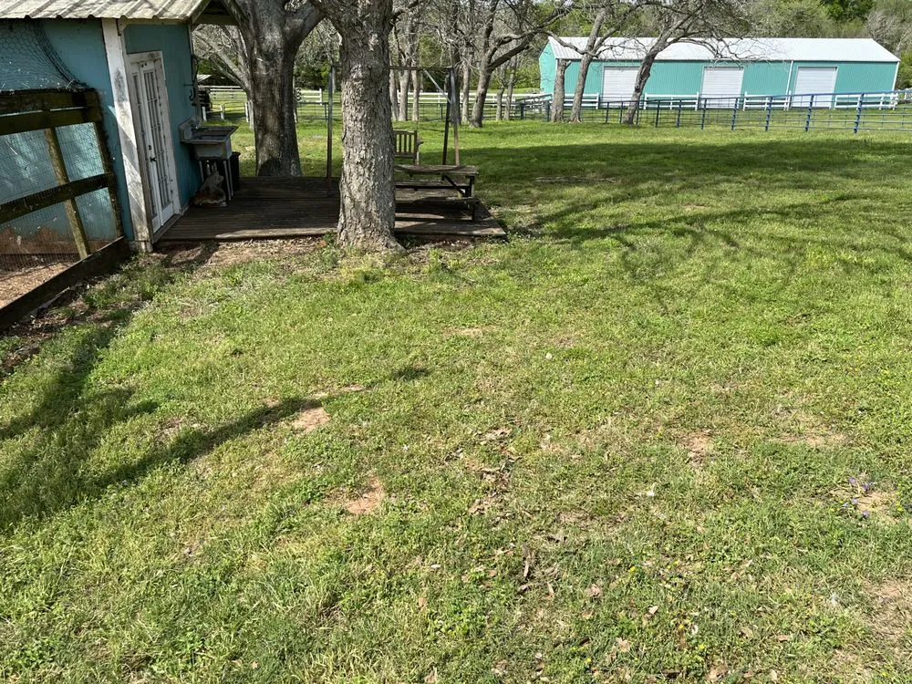 Top-rated outdoor landscaping experts serving Bellville, TX - MKM Services