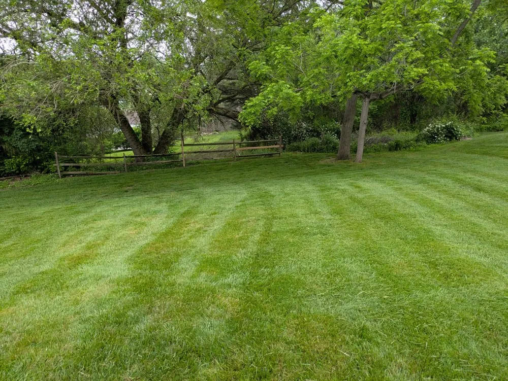 Custom yard maintenance in Elkton, MD by MKM360