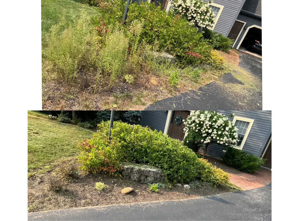 Top-rated garden landscaping experts serving Queensbury, NY - MKP Landscaping