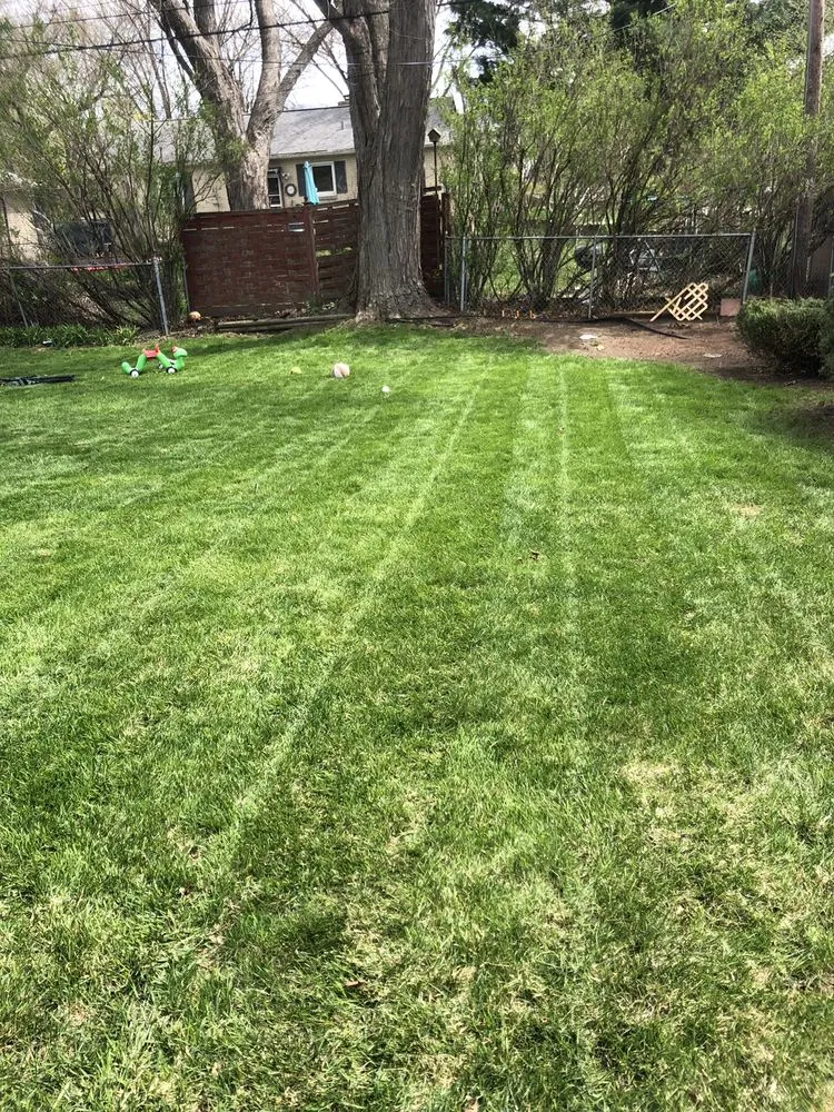 Expert lawn mowing service for outdoor upgrades in Rockford, IL by M&K's Landscaping and Lawn Maintenance